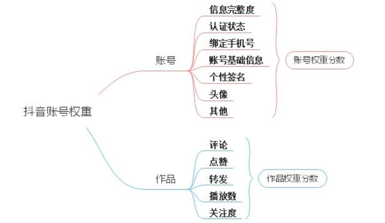 短视频运营技巧：让你的流量快速暴涨！-微丽宝（丽宝云）