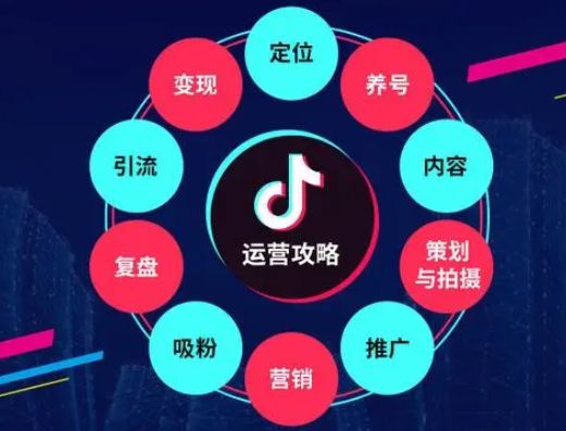 企业营销本质:搞不定它就赚不到钱,只能被饿死-微丽宝 企业营销本质:搞不定它就赚不到钱,只能被饿死-微丽宝