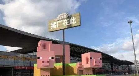 腾讯叫鹅厂，网易为什么叫猪场？（腾讯叫鹅厂网易叫什么？）