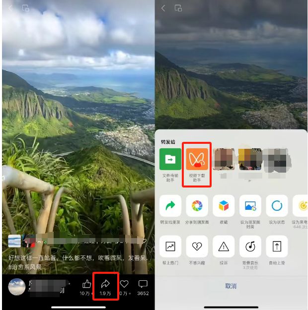 微信视频号的视频怎么保存到本地相册？电脑手机都可以下载视频号视频！-微丽宝