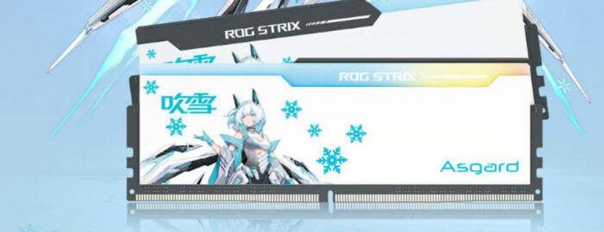 DDR5要取代DDR4？还早着呢！-微丽宝（丽宝云）