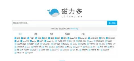 2024年老王磁力搜索引擎实测好用，赶快收藏一下-微丽宝