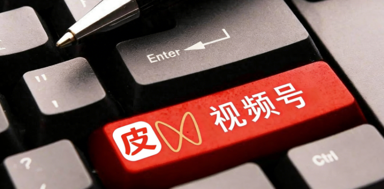 皮皮查权重三大问题:怎么用?评分如何升?数据准不准、安不安全?