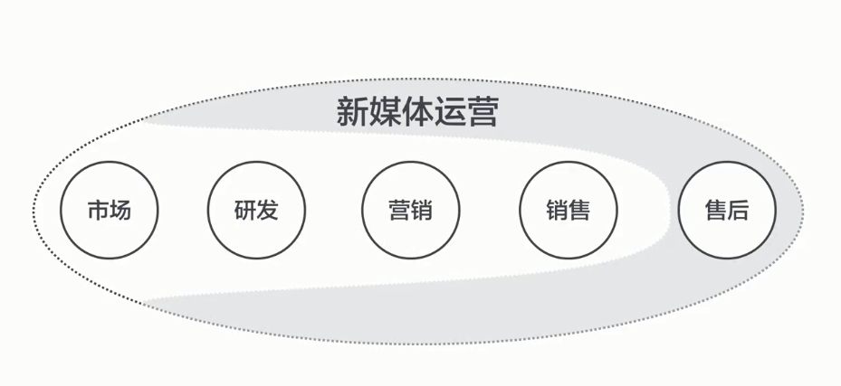 新媒体运营是做什么(新媒体运营是做什么什么学历)-微丽宝（丽宝云）