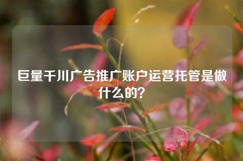 巨量千川广告推广账户运营托管是做什么的？-微丽宝（丽宝云）