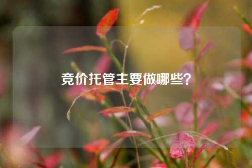 竞价托管主要做哪些？-微丽宝（丽宝云）