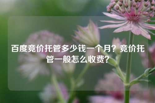 百度竞价托管多少钱一个月？竞价托管一般怎么收费？
