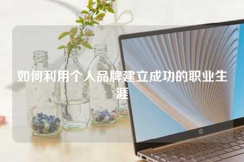 如何利用个人品牌建立成功的职业生涯-微丽宝（丽宝云）