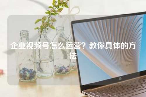 企业视频号怎么运营？教你具体的方法-微丽宝