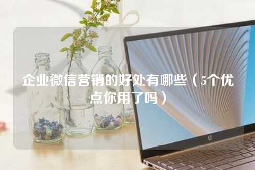 企业微信营销的好处有哪些(5个优点你用了吗)-微丽宝 企业微信营销的好处有哪些(5个优点你用了吗)-微丽宝