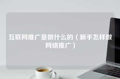 互联网推广是做什么的（新手怎样做网络推广）-微丽宝（丽宝云）