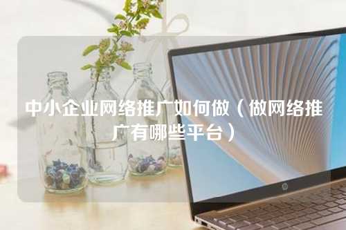 中小企业网络推广如何做（做网络推广有哪些平台）-微丽宝（丽宝云）