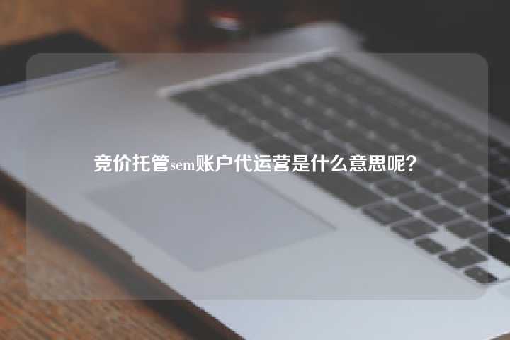竞价托管sem账户代运营是什么意思呢?