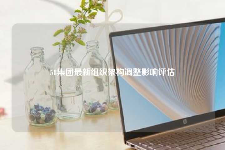 58集团最新组织架构调整影响评估-微丽宝（丽宝云）