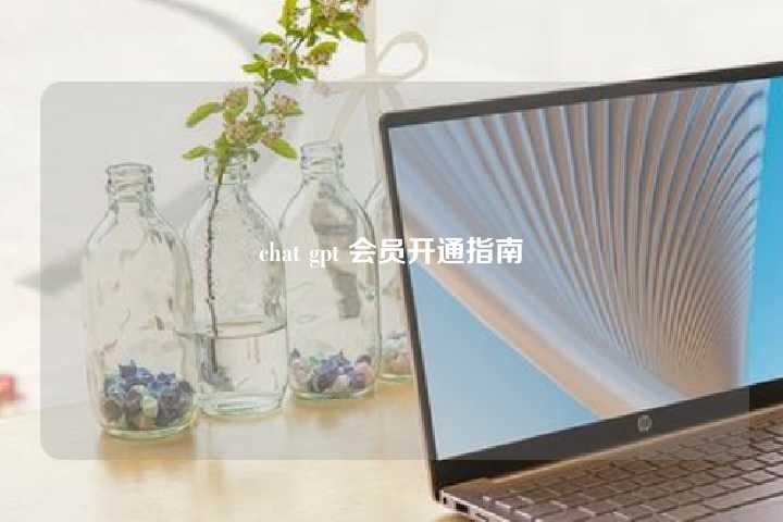 chat gpt 会员开通指南-微丽宝（丽宝云）